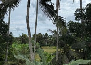 raining-day-ubud