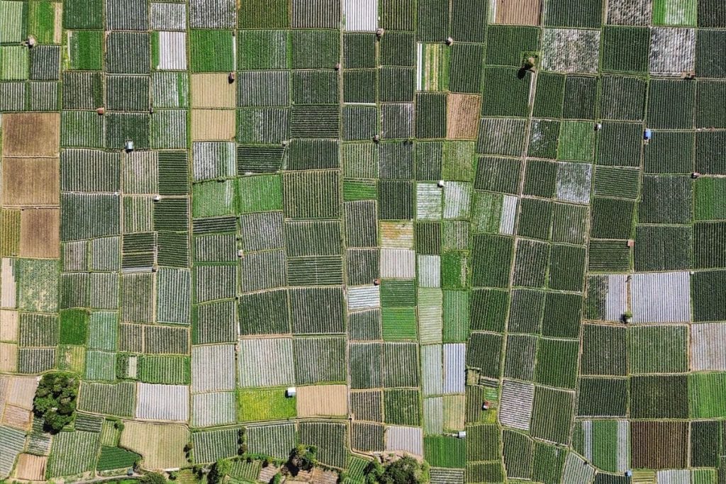 Green rice terraces viewed from Pergasingan Hill in Lombok