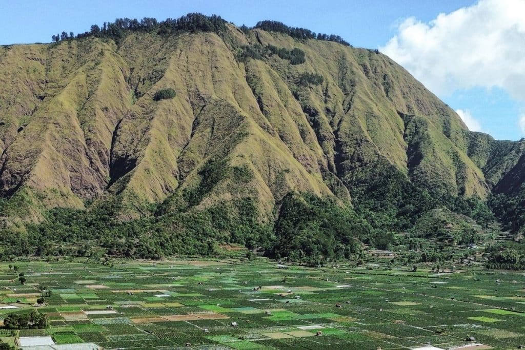Panoramic view from Pergasingan Hill overlooking Mount Rinjani in Lombok