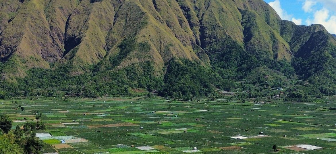 Sunrise view over Mount Rinjani from Pergasingan Hill in Lombok