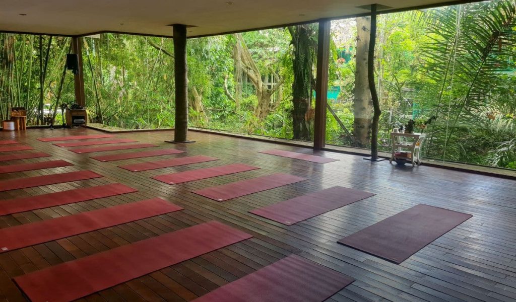 Spacious and tranquil yoga room at Radiantly Alive in Ubud