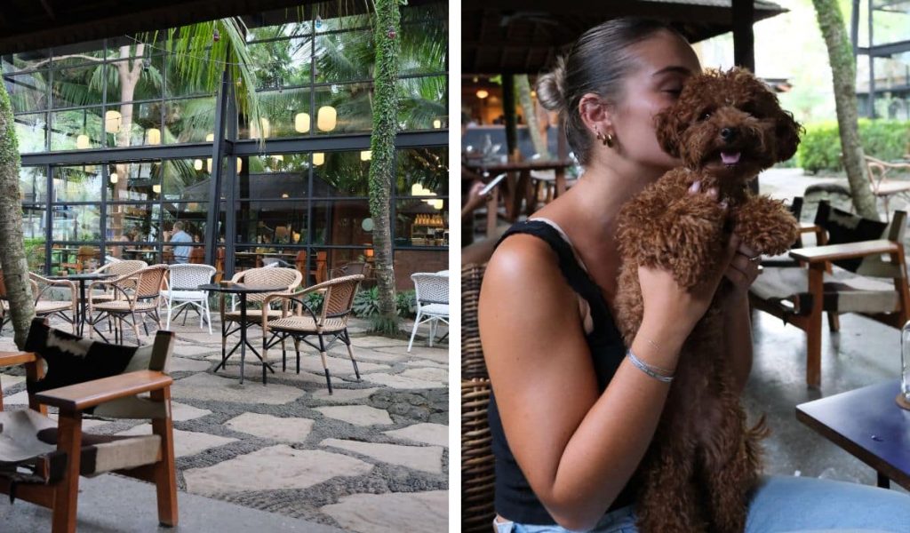 Rüsters – Spacious dog-friendly café in Ubud Dog enjoying cuddles at Rüsters in Ubud
